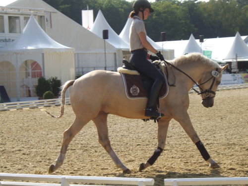 Caspar arena walk at the BC